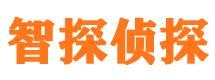 龙城侦探公司